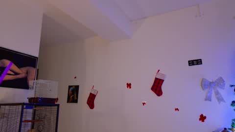 Aria online show from December 21, 12:40 am