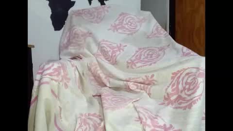 Snapshot of aritolapiz chatting on November 16, 2:50 am aritolapiz online show from November 16, 2:50 am