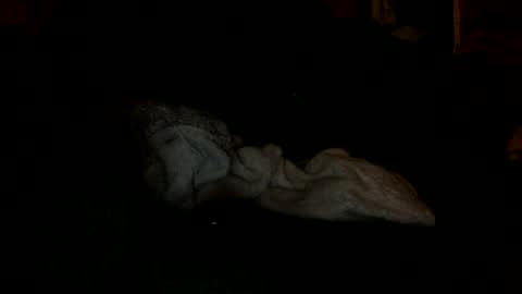 arley1966 online show from November 4, 2:43 am