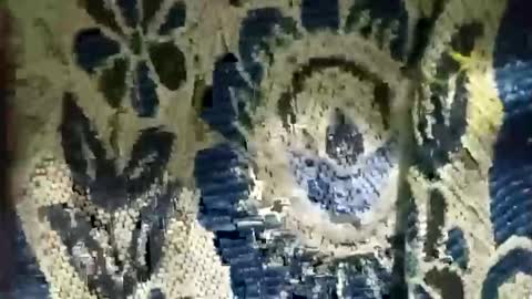 arshkhant987 online show from January 31, 7:11 pm