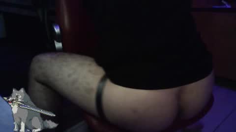 artorias 4 online show from December 21, 5:36 am