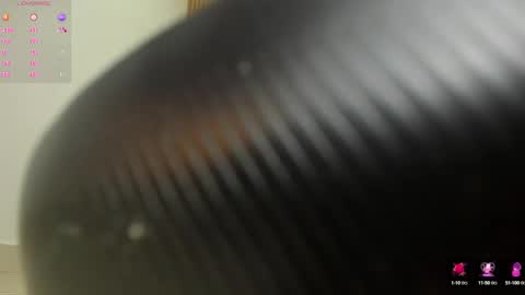 Snapshot of arya_ruiz chatting on December 30, 3:24 pm Arya online show from December 30, 3:24 pm