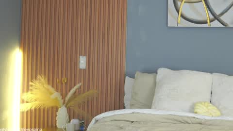 Snapshot of ashley_ospino chatting on February 3, 3:31 am Ashley online show from February 3, 3:31 am