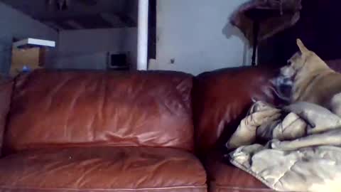 Snapshot of assholeslut9000 chatting on December 15, 1:43 am Tell me spread and Ill spread online show from December 15, 1:43 am