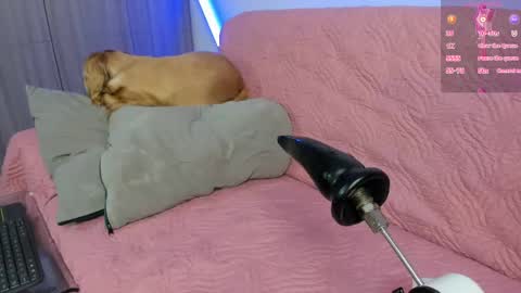 Atalaya  - Jack online show from April 25, 4:59 am