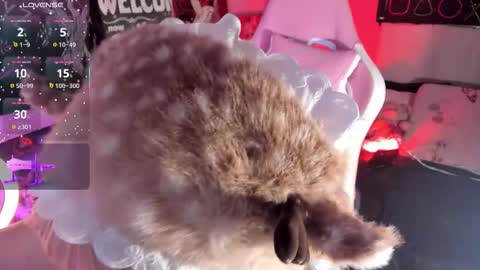 Aurora Channn online show from November 27, 10:34 pm