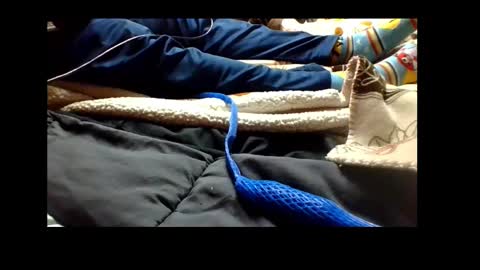 Senior Agua online show from December 4, 4:38 pm