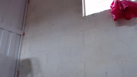 Snapshot of ava_f0xy chatting on November 14, 4:06 pm Ava Jordana online show from November 14, 4:06 pm