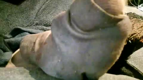 Axelle online show from November 7, 10:21 pm