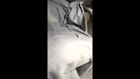 b4db0y online show from March 7, 12:07 am