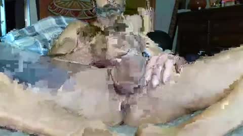 Snapshot of babyblue_1973 chatting on December 16, 3:00 pm Poindexxxter online show from December 16, 3:00 pm