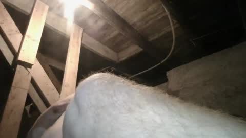 babyxxxangel online show from September 20, 9:43 am