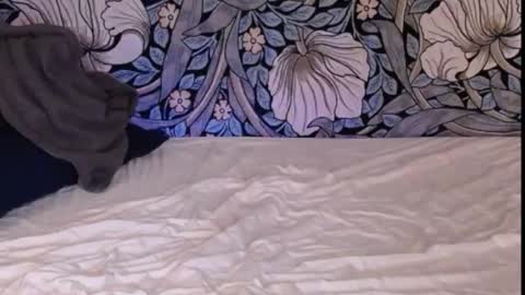 Snapshot of backtatava chatting on September 30, 1:21 am Ava online show from September 30, 1:21 am