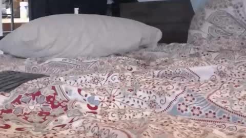 Snapshot of baker305 chatting on September 29, 4:17 am baker305 online show from September 29, 4:17 am