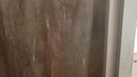 ballshanginglowaf online show from September 28, 11:59 am