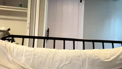 Snapshot of barbiegutzfan3 chatting on March 2, 6:59 pm Tsbaby301 online show from March 2, 6:59 pm