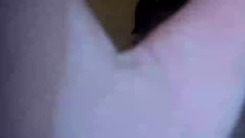 Snapshot of barniemay1 chatting on July 5, 4:41 am barniemay1 online show from July 5, 4:41 am