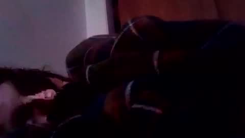 bathingcat online show from January 19, 6:10 pm