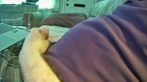 Snapshot of bcema2 chatting on September 26, 5:28 pm bcema2 online show from September 26, 5:28 pm