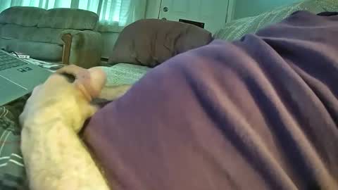 Snapshot of bcema2 chatting on October 24, 3:30 pm bcema2 online show from October 24, 3:30 pm