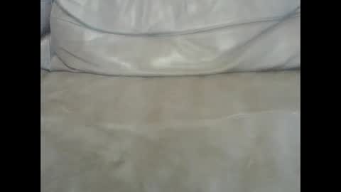 bds2013 online show from March 2, 12:11 pm