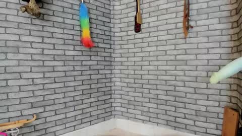 Meduza  online show from November 29, 3:48 pm