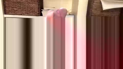 Snapshot of beachguy469 chatting on November 18, 4:44 pm BeachGuy online show from November 18, 4:44 pm