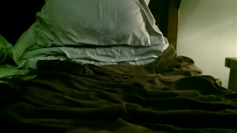 Snapshot of beagle1 chatting on December 21, 1:21 pm beagle1 online show from December 21, 1:21 pm