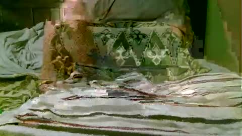 Snapshot of beagle1 chatting on November 1, 8:55 pm beagle1 online show from November 1, 8:55 pm