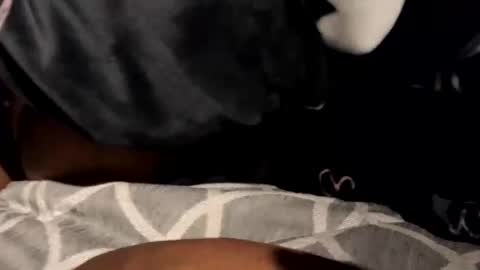 BeastyAdamsTgExotic online show from February 15, 10:33 am