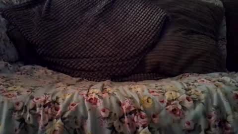 beatlebut online show from October 16, 3:18 am