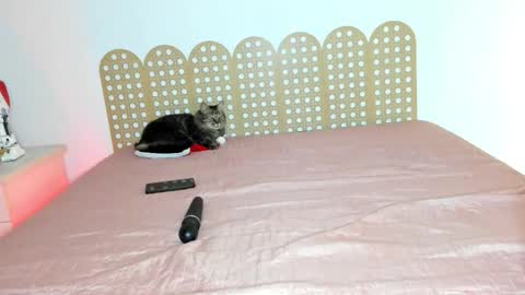 Beautyraf online show from December 18, 10:49 pm