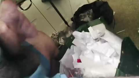 Snapshot of beenallover92 chatting on January 22, 2:03 pm beenallover92 online show from January 22, 2:03 pm