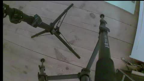 Snapshot of beginner96 chatting on December 3, 7:12 pm Mia online show from December 3, 7:12 pm