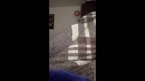 belcebu472402 online show from November 2, 2:41 pm