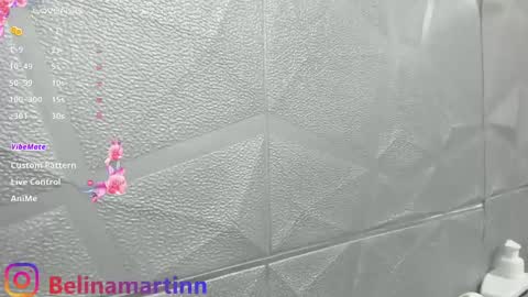 Snapshot of belinamartin254 chatting on October 12, 2:10 am belinamartin online show from October 12, 2:10 am