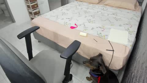 Snapshot of bellaprettty chatting on February 20, 10:26 pm Bella Angelycal online show from February 20, 10:26 pm