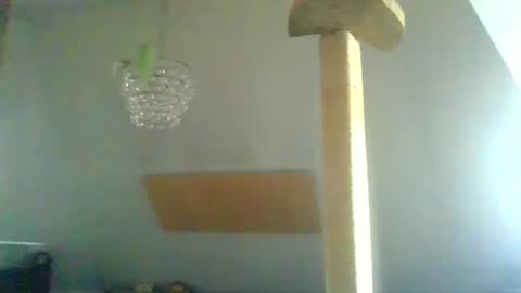 Snapshot of benizio_ chatting on January 30, 11:01 am benizio online show from January 30, 11:01 am