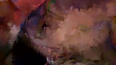 bentito2 online show from July 1, 7:46 pm