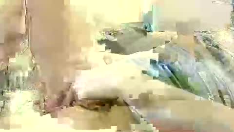 Benutzmich0800 online show from December 8, 11:19 pm