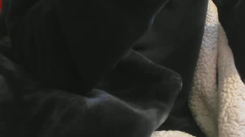 Snapshot of benx12123 chatting on February 16, 6:21 pm benx12123 online show from February 16, 6:21 pm