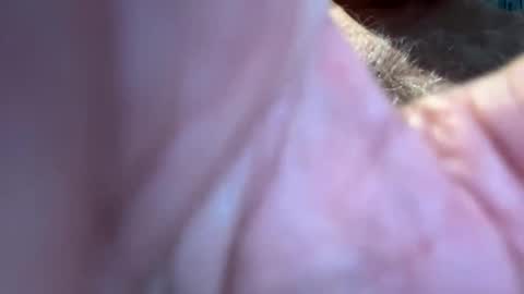 Snapshot of benz10001 chatting on September 13, 12:49 pm benz10001 online show from September 13, 12:49 pm