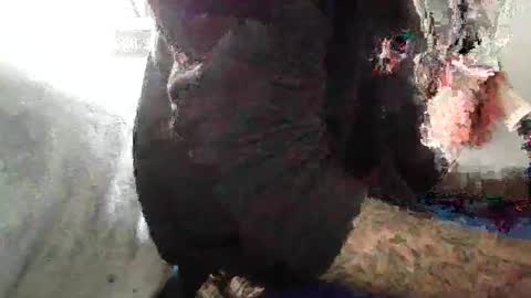 Snapshot of bertdollaz757 chatting on November 4, 3:55 pm ToxicPipe757 online show from November 4, 3:55 pm