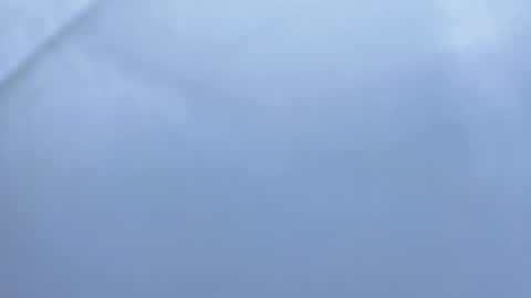 Snapshot of betty__davvis chatting on November 6, 2:07 pm Betty online show from November 6, 2:07 pm