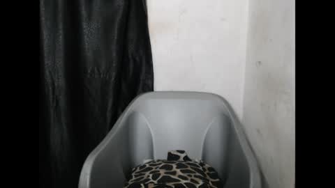 bigassdrip online show from April 21, 7:06 pm