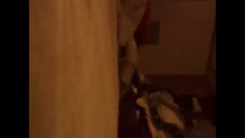 Snapshot of bigbenidick1 chatting on November 13, 3:05 am BB online show from November 13, 3:05 am