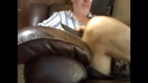 Snapshot of bigbenidick1 chatting on November 26, 4:41 pm BB online show from November 26, 4:41 pm