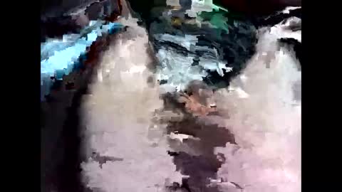 bigbird0100101 online show from February 7, 6:55 pm