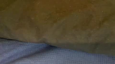 Snapshot of bigboii842 chatting on November 15, 4:36 pm bigboii842 online show from November 15, 4:36 pm