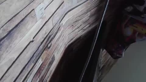 Snapshot of bigboyband chatting on December 27, 8:56 am Bigboyband online show from December 27, 8:56 am